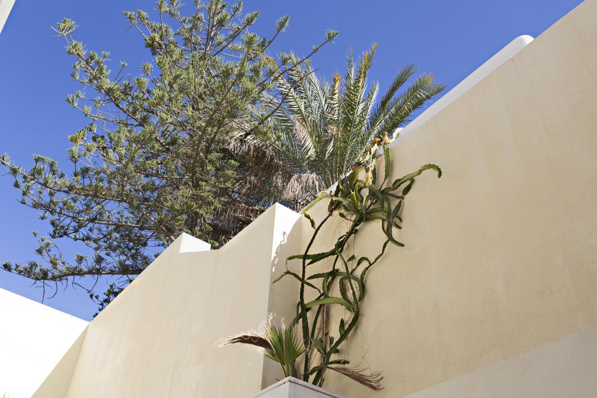 Tavira Historical Center Apartments Екстериор снимка